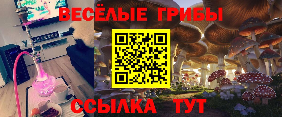 Тельмана  Галлюциногенные грибы Psilocybe  Вход с VPN 